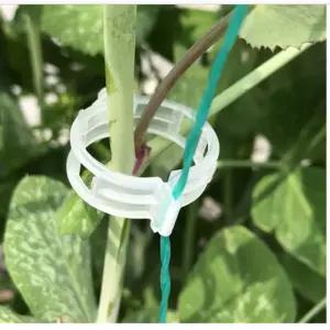 작물 식물 고정 집게 클립 고추 오이 포도 호박 토마토 덩굴 분재 철사 농사용 도구 분재 지지대