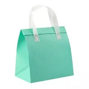 (옵션 중(27x28x16cm))부직포 냉온 보냉백 쇼핑백가방 도시락 민트 피크닉 중27x28x16cm