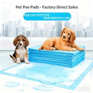 100 50 40 20개 흡수성 강아지 훈련 깨끗한 일회용 패드 화장실 표면 기저귀 빠른 건조 쿠션 용품 매트 배변