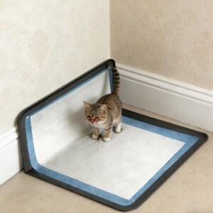 접이식 미끄럼 방지 실리콘 세척이 훈련 애완동물 패드 고양이용 배변 간편한 모든 휴대용 강아지와 강아지