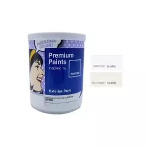 건물 외부 공사 곰팡이 이끼 방지 무광 페인트 1L 흰색