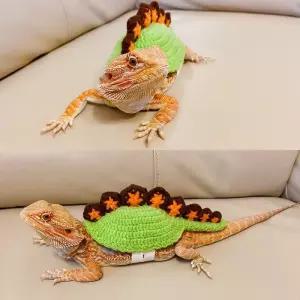 도마뱀 옷 사육장 소품 파충류 의상 게코 산책용 하네스