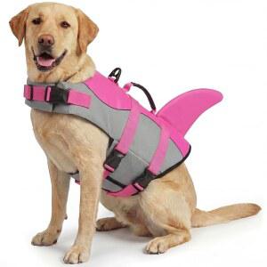 아센쿠 반려견 구명조끼 수영 및 보트용 반려동물 무위험성, 부유식 상어 구명조끼, 소형 중형 대형견용 (핑크, XL)
