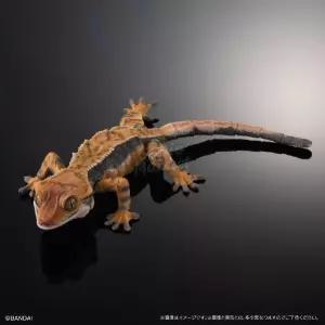 도마 생물대도감 모형 A 게코 도마피규어 캡슐 크레스티드