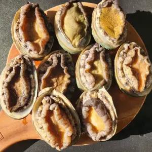 [신세계라이브쇼핑]산지직송 완도 활 전복 5-7미/총1kg내외