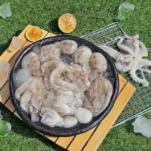 신선한 쫄깃 탱탱 알주꾸미 1kg 제철 생물