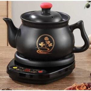 다기능 가정용 20L 홍삼제조기 미니 전기포트