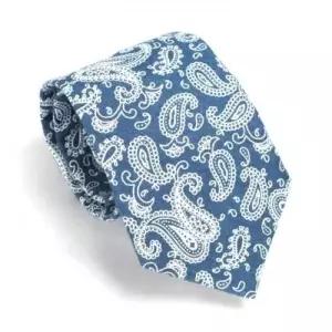 페이즐리 패턴 무늬 패션악세사리 데님 넥타이 2컬러 WFB7AC2