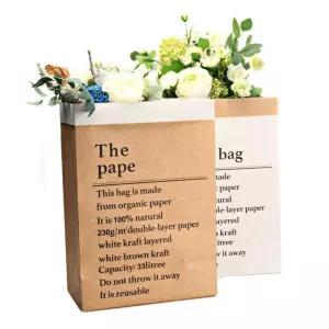 대형 포장 화분 종이봉투 31x16x44cm 2개 식물키우기