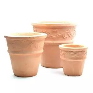 그리스 사라사 무늬 선인장 소형토분세트 애완식물