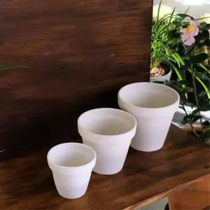 기본 화이트토분 12cm 소형 선인장분갈이 식물 인싸템