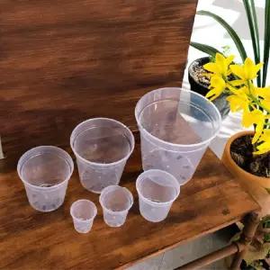 투명 플라스틱 포트 삽목화분 10cm 100개 식물재배기