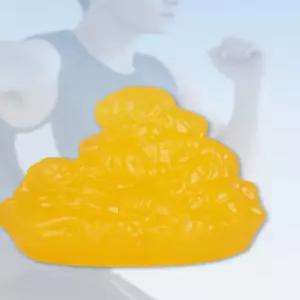 지방근육 모형 실리콘 인체해부학 교육용 3D피규어 근육골격 인체모델 피트니스 건강증진 교구