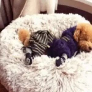 포뇨3  4개 강아지 반려동물 세트 미끄럼방지 면양말