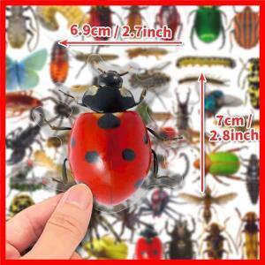 50pcs 투명 현실적인 곤충 스티커 나비 거미 DIY 수하물 전화 케이스 냉장고