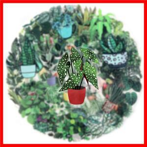 10/50PCS 녹색 식물 분재 애완 동물 낙서 스티커 화분에 심은 만화 데칼 노트북 전화 기타 스케이트 보드