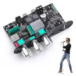 TWS 박스가 장착된 ZK-1001UM 블루투스 앰프 100W 모노 보드 가정용 야외 DIY 스피커를 위한 부스트가