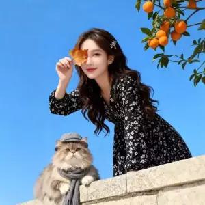 여성용 원피스 하프 필수템 쉬폰 빅사이즈 긴팔 브이넥 슬림핏 임산부용 인기1