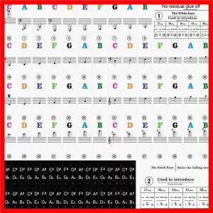 피아노 키보드 스티커, 음악 전자 노트 화이트 및 블랙 37 49 54 61 88