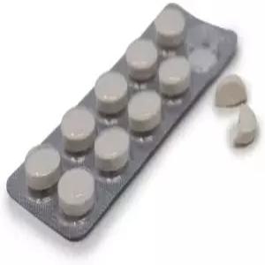 10 프로마 + 치즈 만들기 커넷 컵