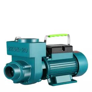 미니 배수펌프 물 자동 수중 워터 잠수정 워터펌프 정화조 하수 220V