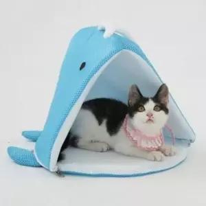 [반려] 레드퍼피 강아지하우스 바다고래 하우스 블루 펫하우스 애견 강아지집