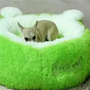 [반려] 반려동물 방석 M (그린) 냥이방석 개쿠션