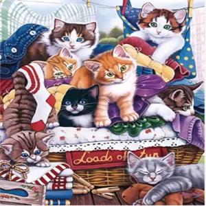 큐리쏘 십자수 키트 스탬프 초보자용 자수 스타터 DIY 11CT 3가닥 - 프린트 귀여운 반려동물 고양이