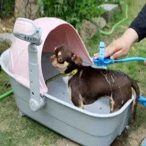 [반려] 펫하우스 샤워룸 드라이름 시스템하우스 애견드라이룸 팻드라이룸