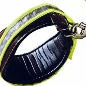 [반려] 야광목띠-XL 애완견목걸이 목줄