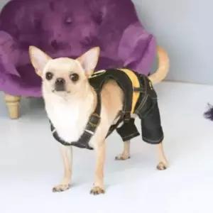 [반려] 애견 올인원 팬츠(블랙) 강아지데님 애견외출복