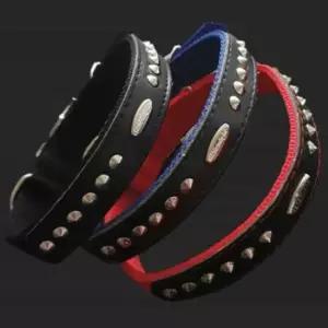 [반려] 개 목줄 25mm 60cm 검정 강아지줄 강아지목걸이