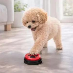 [반려] 반려동물 강아지 간식벨 녹음벨 훈련벨 4종 세트