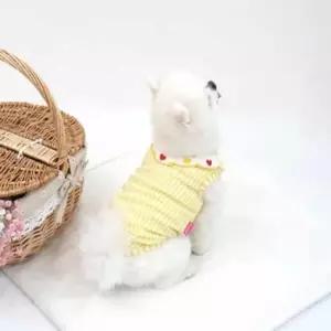 [반려] 애견 여름티 (옐로우) 강아지외출복 시원한강아지옷