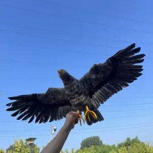 대형 독수리모형 비둘기 까마귀 농작물 A모델50cm 장식 퇴치