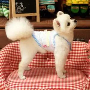 [반려] 애견 티셔츠 (블루) 애견여름옷 강아지민소매옷