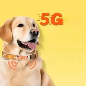 반려동물 GPS 추적기 목줄형 펫 강아지 고양이 방수