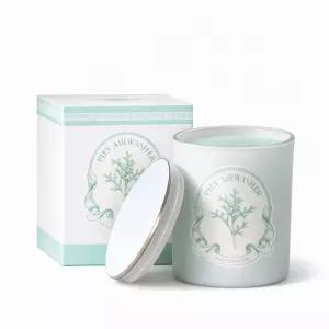 피에브 에어워셔 화장실 하수구 냉장고 강아지 홀애비 냄새 고체 탈취제 250g 코튼향