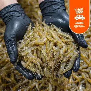 냉동 민물새우 400g+400g 자연산 새우탕 새우깡 새우튀김 해물탕 김장 육수