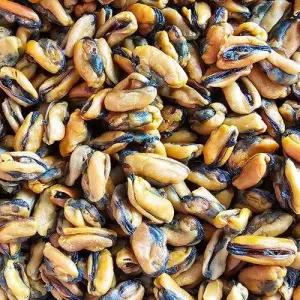 국내산 건홍합 500g