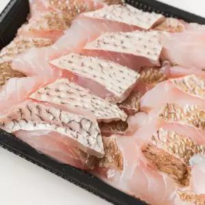 400g 참돔회 2인분 초장 + 와사비 간장+ 회 방어 국내산 필렛 대 손질