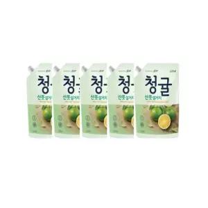 파우치 청귤 참그린 용 산뜻한설거지 리필 5개입 1kg [f8E6E61]