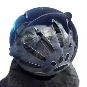 SPS 고양이 투명볼 우주인 헬멧