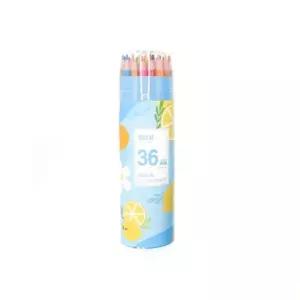 지워지는 채점 36 색 색연필 세트 신학기 케이스 그림 수채