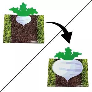 [전세계독점] JL매직 작은 무가 큰 무로 바뀌는 마술 무뽑기