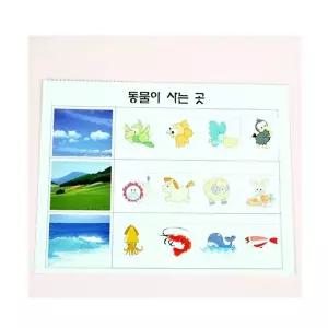 동물의 서식지 10명 set교구 만들기 과학 만들기세트 만들기재료 초등학습 방과후 공작완구