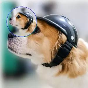 쌍문상회 강아지헬멧 애견모자 고양이안전모 애묘패션 촬영소품 드라이브 S 머리보호 소형견