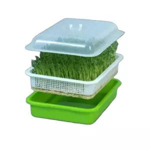 새싹 재배 발아 모종판 원예 보육 트레이 채소재배 모종 묘목