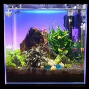 어항 스팟 LED 어항백스크린 백스크린 라이트 색상변환 해수어