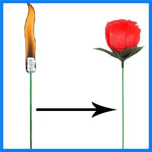 마술 트릭 장미 재미있는 선물 횃불 변경 장미 마술 트릭 참신 깜짝 장난 농담 신비로운 재미있는 장난감